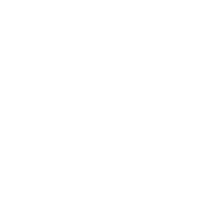 Mary (Molly) Work PLLC logo white
