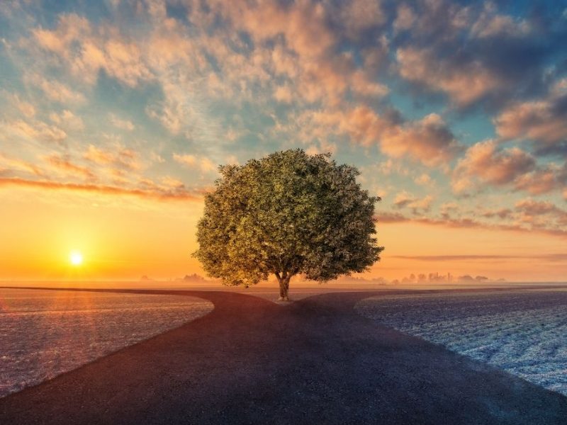 6.Life & Career Transitions